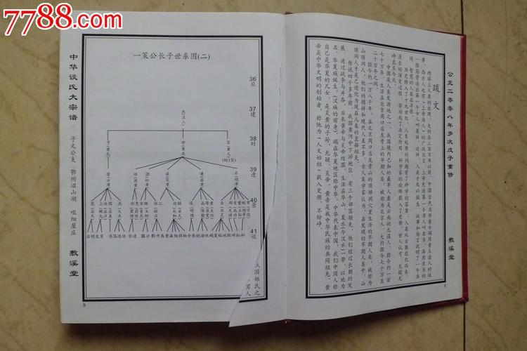 谈氏家谱图片