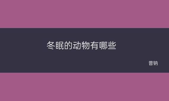 关于冬眠的搞笑句子