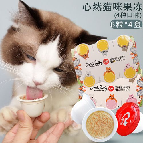 我的可爱猫果冻 我的可爱猫