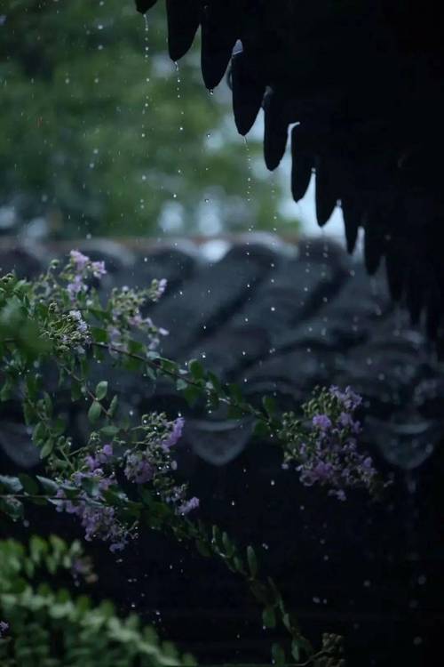 特别喜欢听雨声